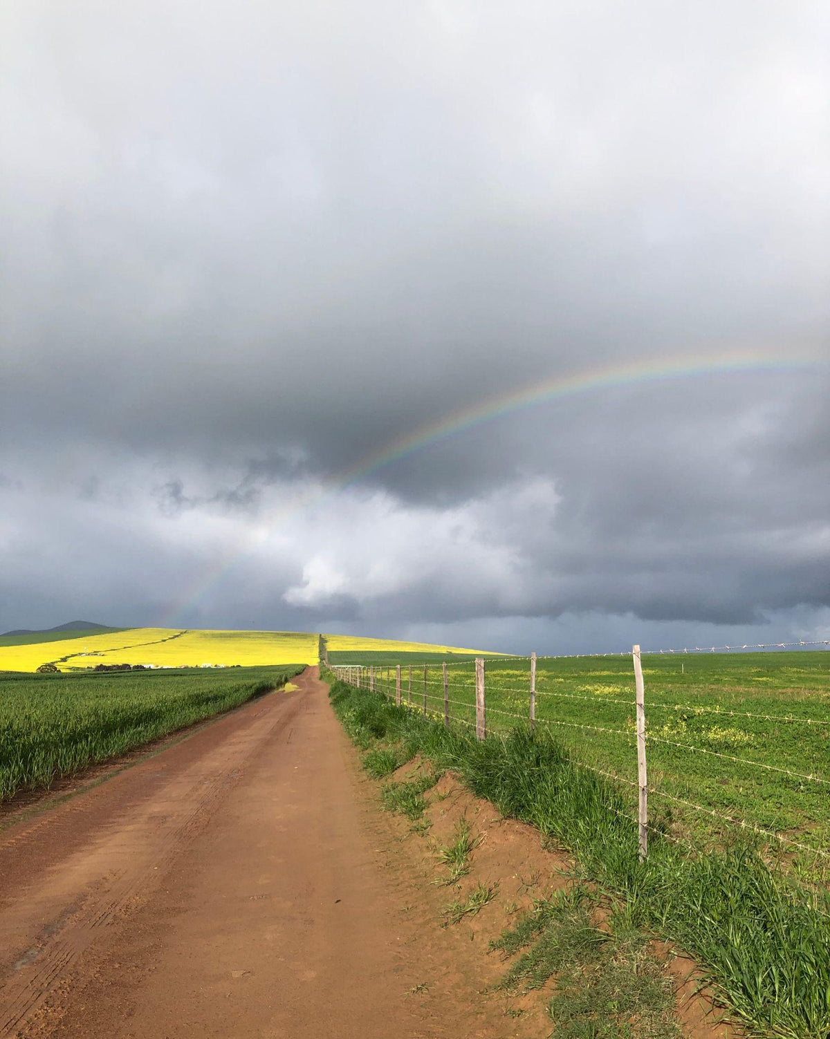 "’n Boer maak ’n plan" – The Real Meaning Behind South Africa’s Most Famous Saying