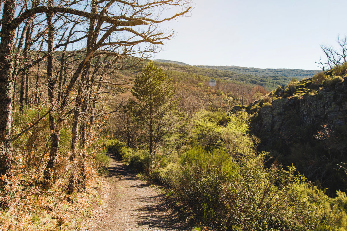 The Benefits of an Outdoor Hike: Adventure, Fresh Air &amp; Finding Balance