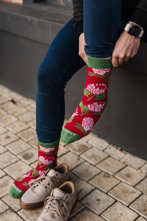Sokkie Sokkies Protea