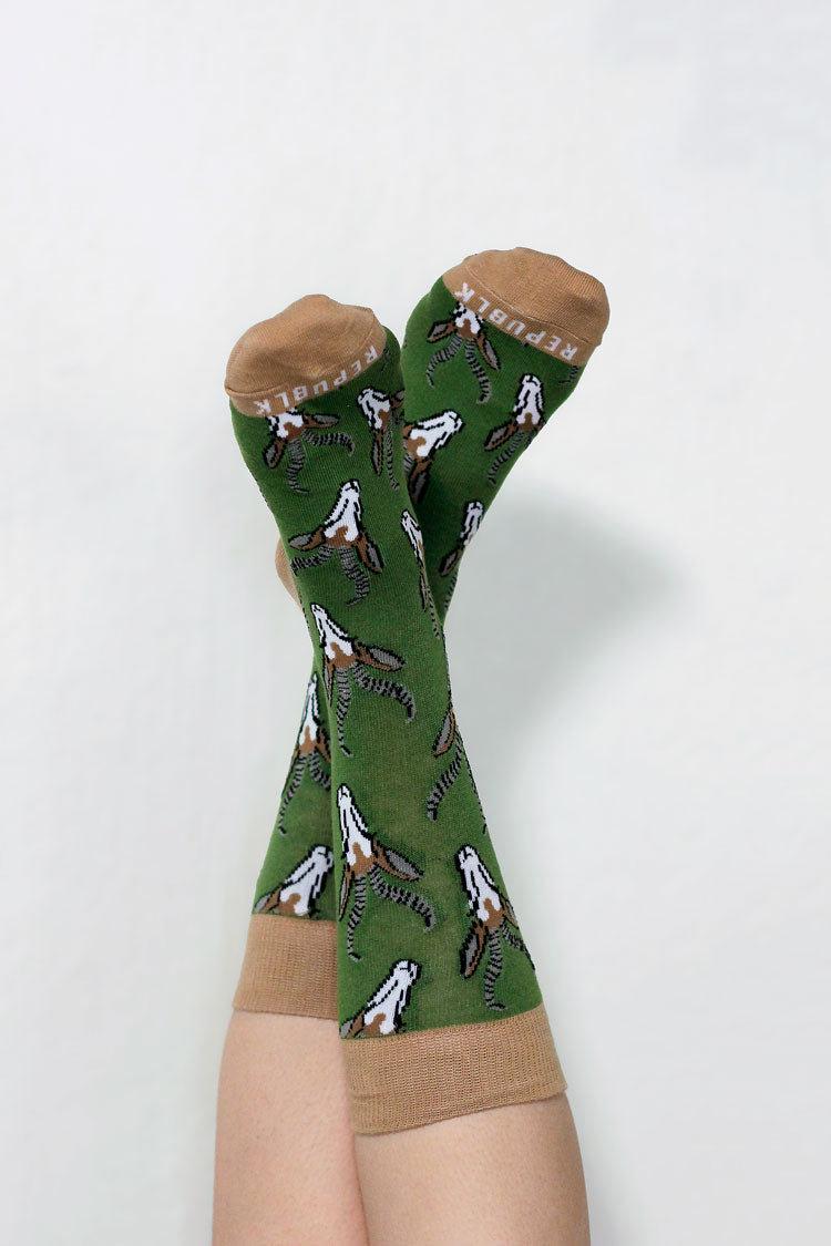 Sokkie Sokkies Springbok